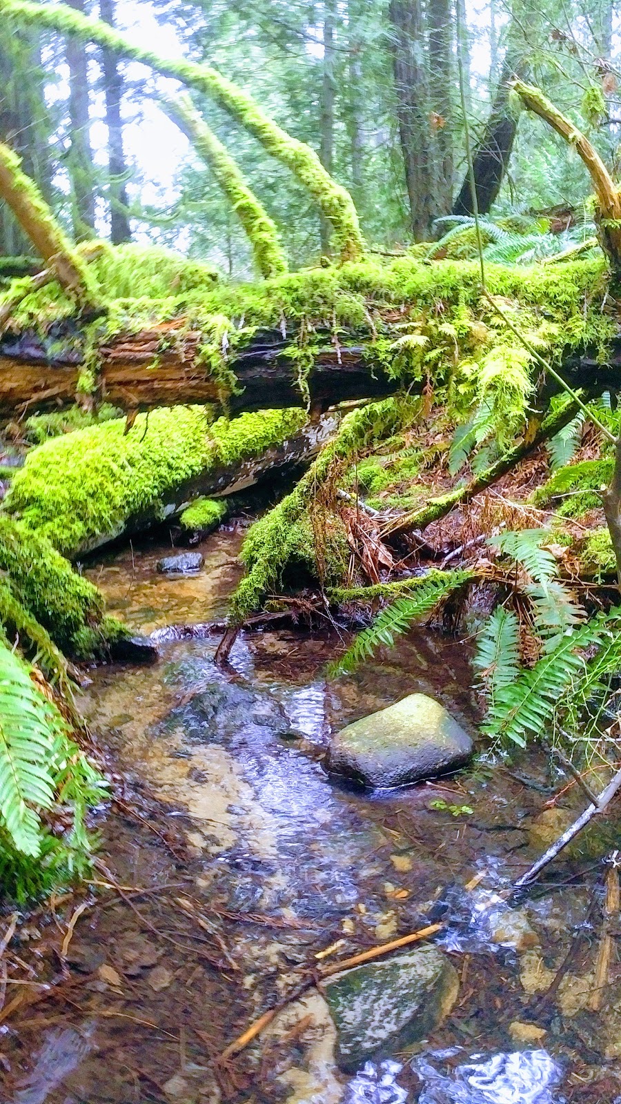 Roberts Memorial Provincial Park | 3122 Yellow Point Rd, Ladysmith, BC V9G 1C5, Canada | Phone: (250) 474-1336