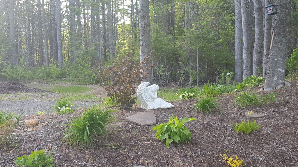 Megaroma Wellness Centre | 578 Weisner Rd, Lakeville, NB E1H 1T5, Canada | Phone: (506) 830-2378