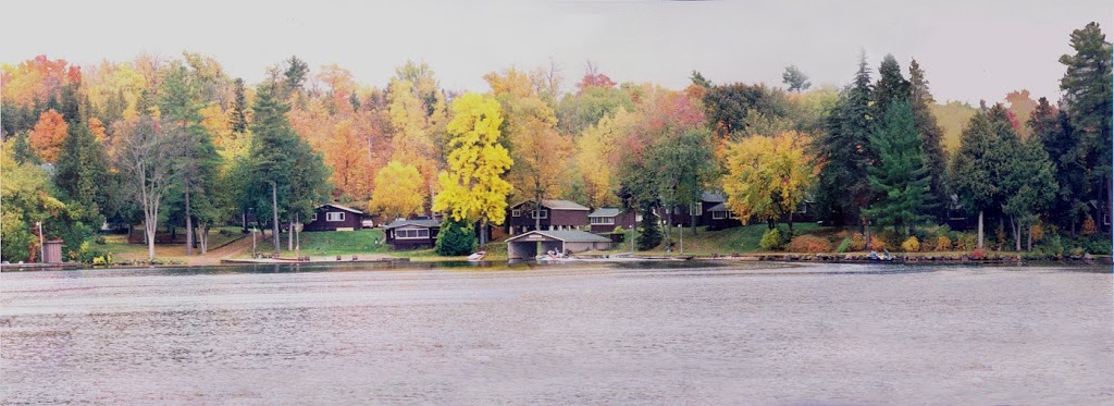 Wantasa Resort | 472 Carveths Marina Rd, Lakefield, ON K0L 2H0, Canada | Phone: (705) 652-3577