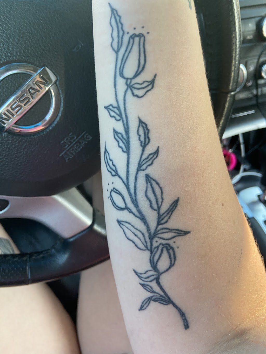 Cats and Tats | 3507 34A Ave NW, Edmonton, AB T6L 3Y8, Canada | Phone: (587) 501-6630