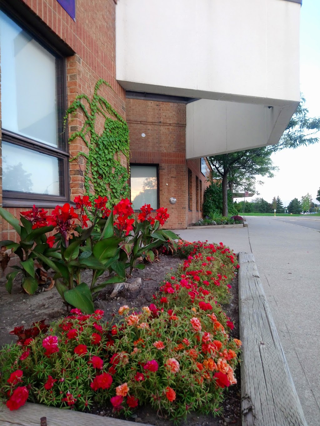 Plum Tree Park Public School | 6855 Tenth Line W, Mississauga, ON L5N 4Y6, Canada | Phone: (905) 824-0155