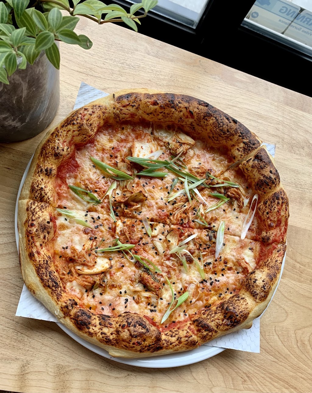 Pizza Nerds (Old Ottawa South) | 44 Seneca St, Ottawa, ON K1S 4X3, Canada | Phone: (613) 422-0091