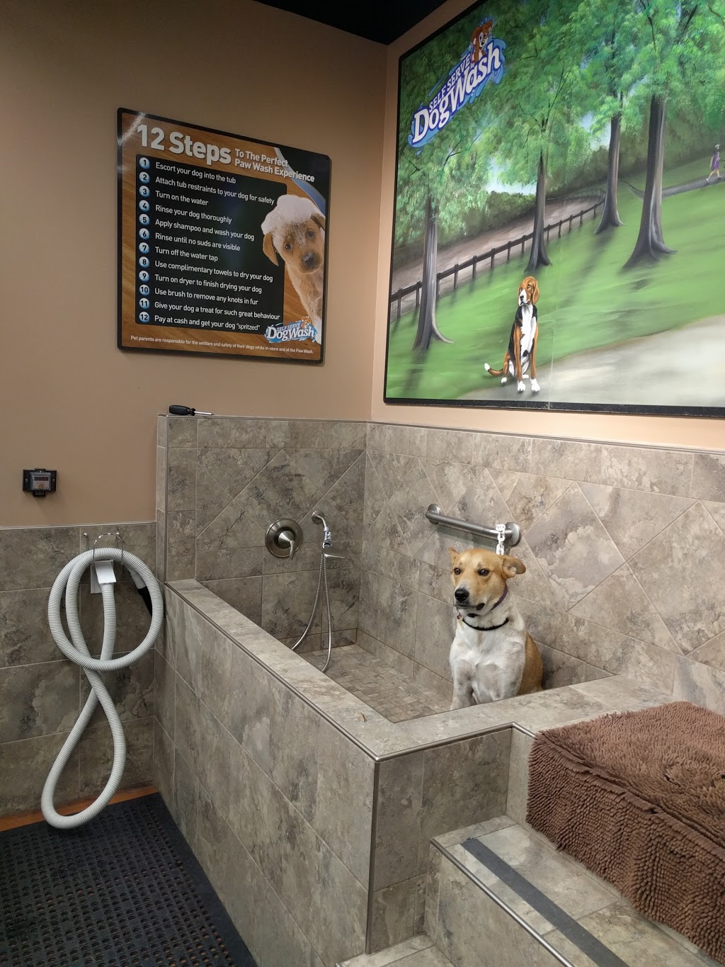 Pet Valu | 1245 Dupont St, Toronto, ON M6H 2A6, Canada | Phone: (416) 536-4282