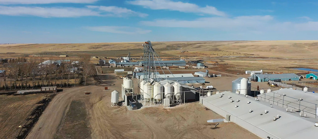 KLC Feeds | Box 125, Barons, AB T0L 0G0, Canada | Phone: (403) 369-0177