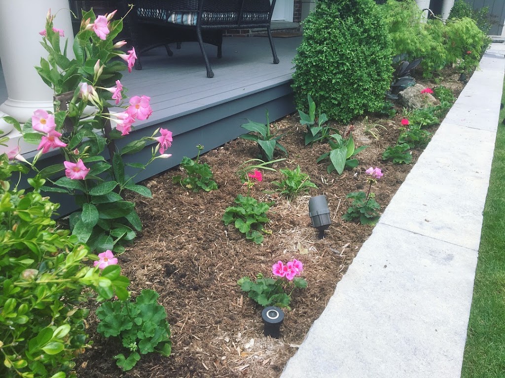 Bloom works | Lloyd St, Brantford, ON N3S 3E3, Canada | Phone: (519) 771-1312