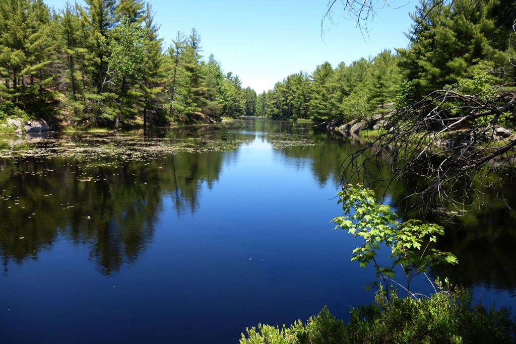Adams Nature Reserve | 1900 Coopers Falls Rd, Washago, ON L0K 2B0, Canada | Phone: (705) 326-1620
