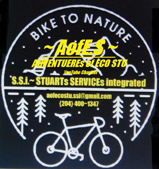 S.S.i. ~ STUARTs_SERVICEs_integrated | 1305 Taylor Ave #1002, Winnipeg, MB R3M 2K6, Canada | Phone: (204) 400-1565