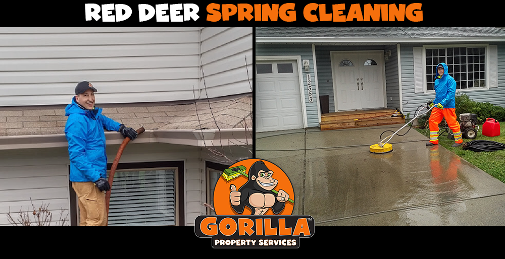 Gorilla Property Services | 6740 Johnstone Dr #40, Red Deer, AB T4P 3Y2, Canada | Phone: (587) 802-2202