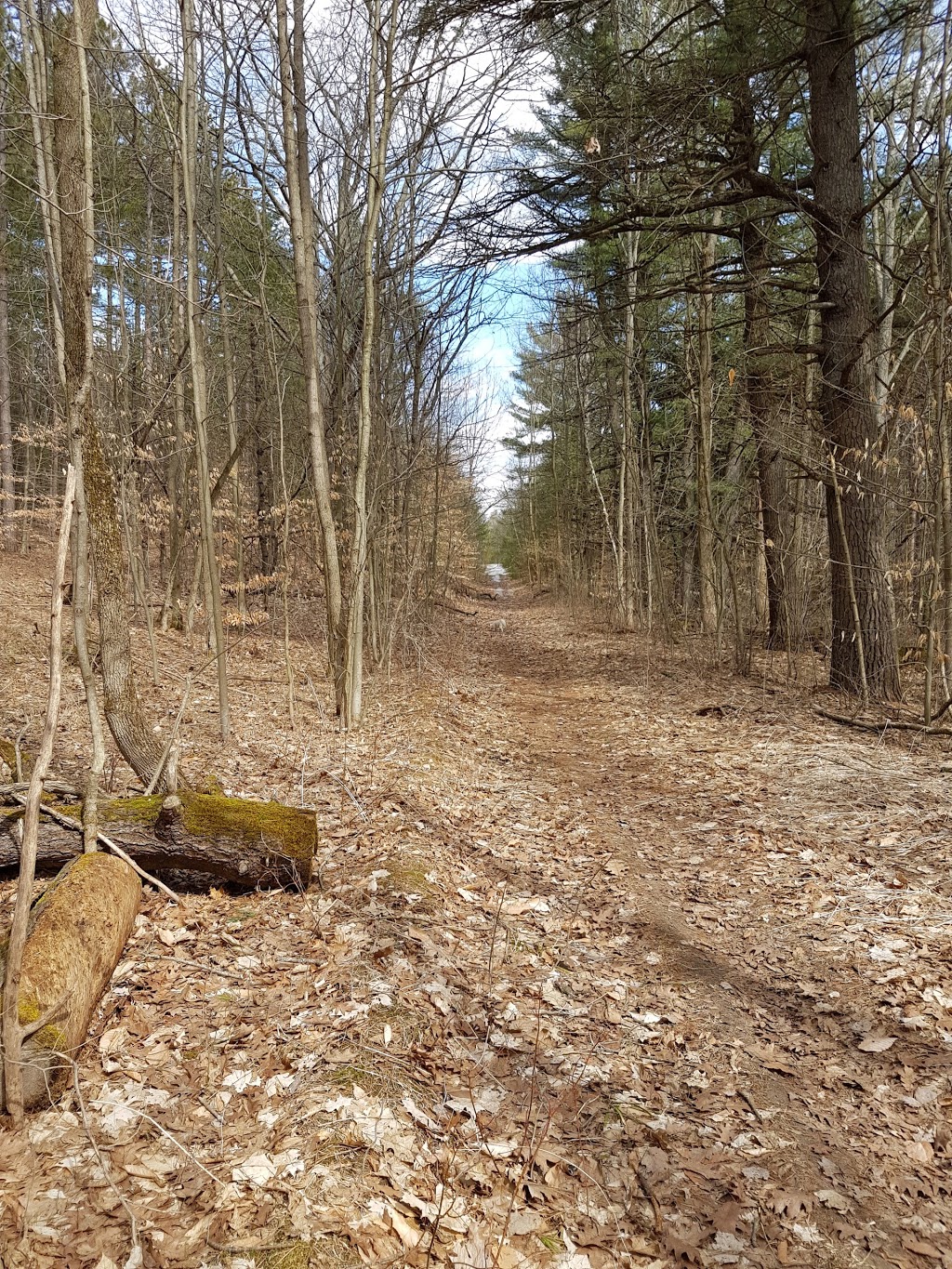 Uxbridge - Al Shaw (Conc.6) | Walker Woods, Goodwood, ON L0C 1A0, Canada