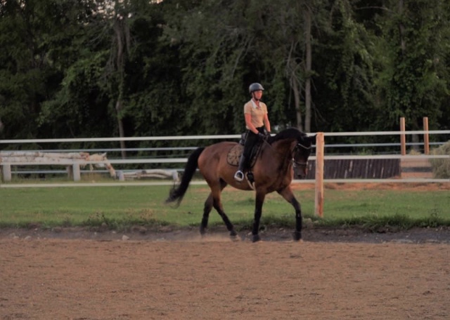TPT Sterner Equestrian Education Centre | 46 Leslie Rd, Roslin, ON K0K 2Y0, Canada | Phone: (705) 761-5455