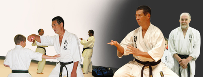 Barrie Karate Club | 170 Steel St, Barrie, ON L4M 2G4, Canada | Phone: (416) 729-5633