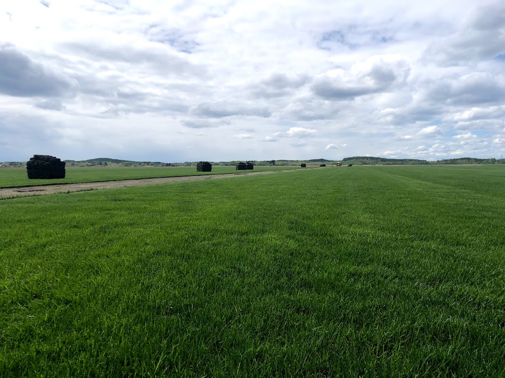 Gazon Bouchard - La relève | 2693 Chem. du Plateau N, La Baie, QC G7B 0H1, Canada | Phone: (418) 818-0787