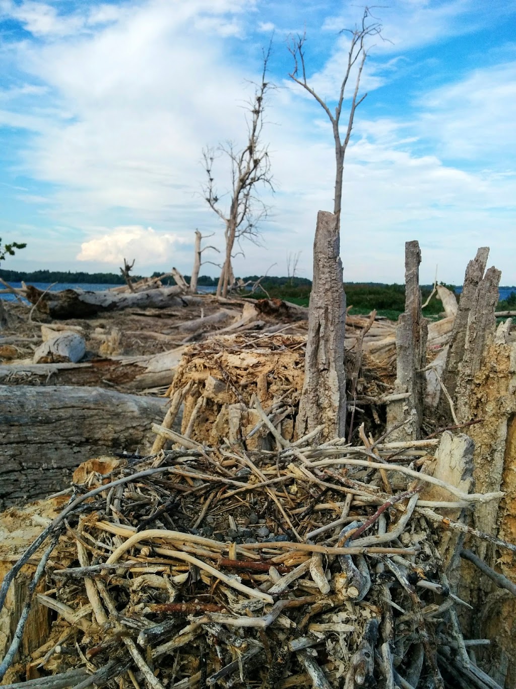 "East" Brothers Islands | Odessa, ON K0H 2H0, Canada