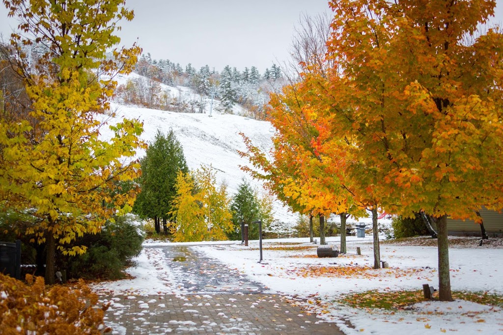 Calabogie Peaks Resort, Ascend Hotel Collection | 30 Barrett Chute Rd, Calabogie, ON K0J 1H0, Canada | Phone: (613) 752-2720