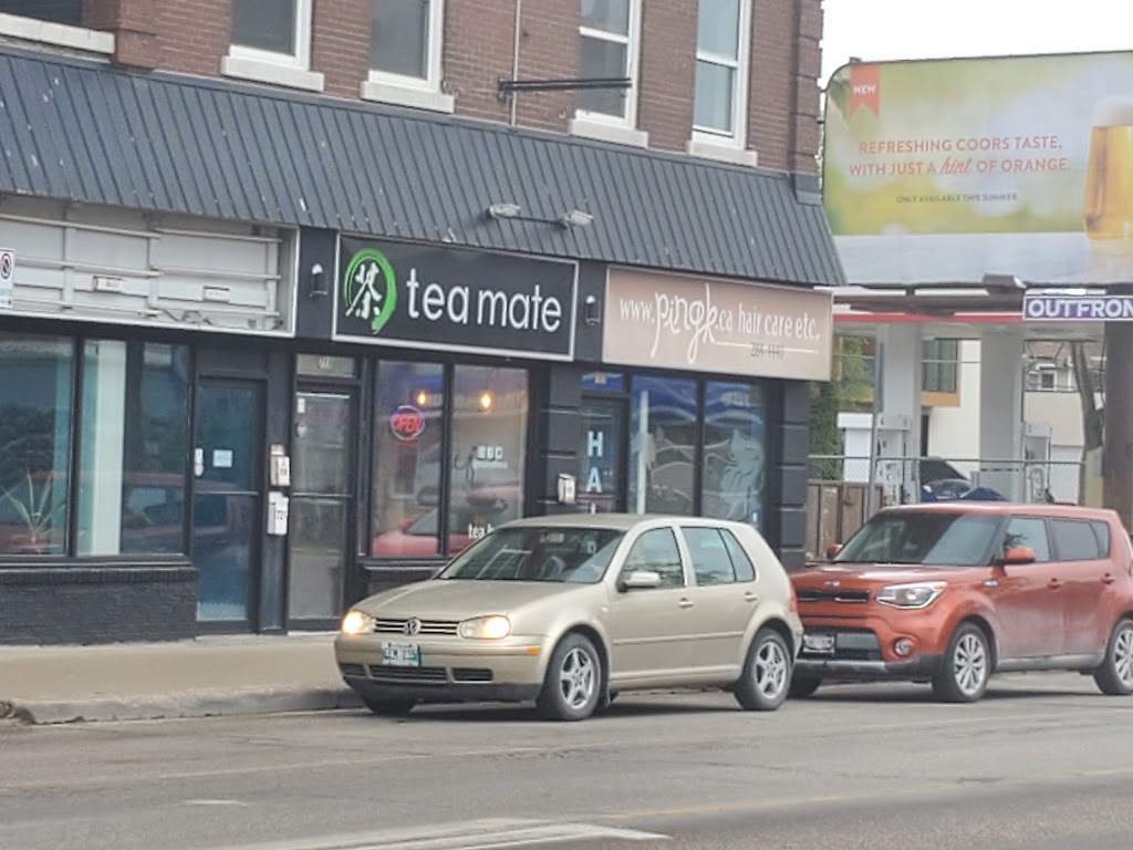 Tea Mate | 719 Osborne St, Winnipeg, MB R3L 2C1, Canada | Phone: (204) 691-6611