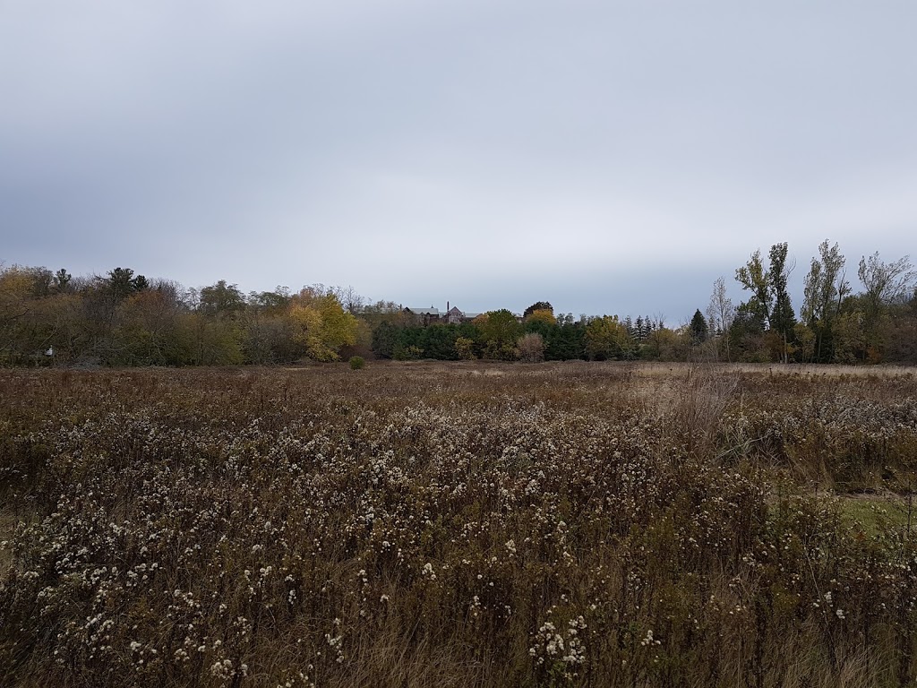 Port Hope Agricultural Park | 62 McCaul St, Port Hope, ON L1A 1L2, Canada | Phone: (905) 885-7908