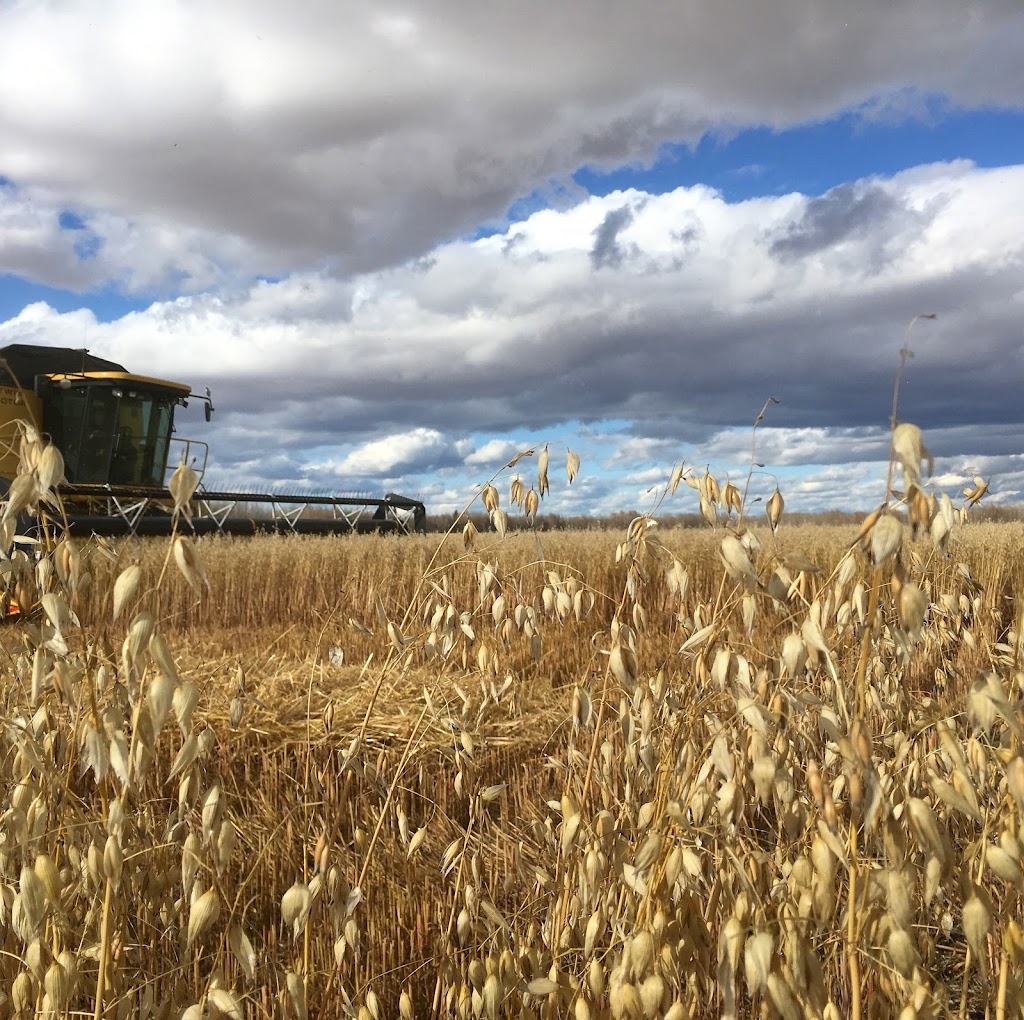 Letts Farm | 60231- Rge Rd, 11, Westlock, AB T7P 2N9, Canada | Phone: (780) 307-6211
