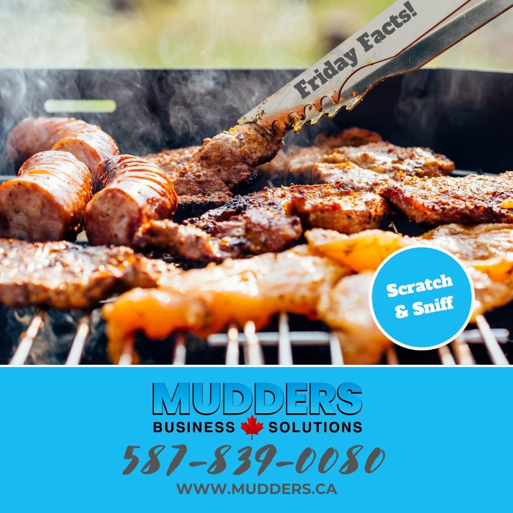 Mudders Business Solutions | 67 Kingsland Pl SE, Airdrie, AB T4A 0C7, Canada | Phone: (587) 839-0080