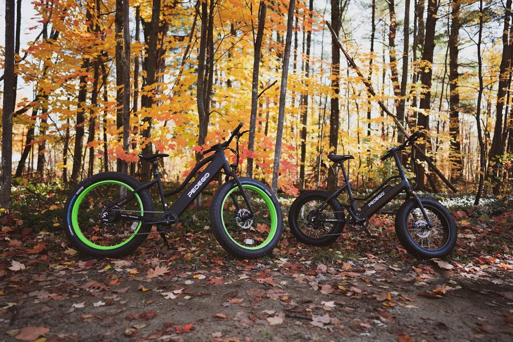 Pedego Electric Bikes Montebello | 480 Rue Notre Dame, Montebello, QC J0V 1L0, Canada | Phone: (819) 598-0952