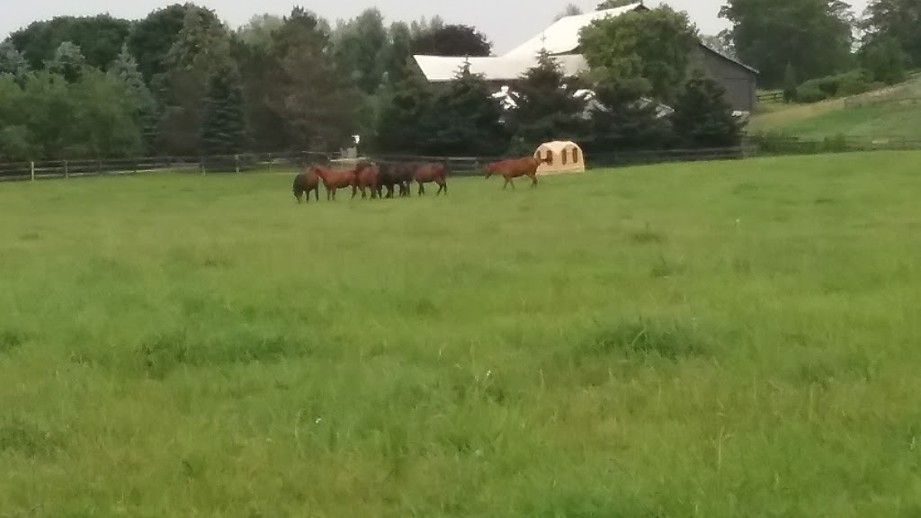 Park Stud | 893112 6th Line Ehs, Mono, ON L9W 6B9, Canada | Phone: (519) 941-3944