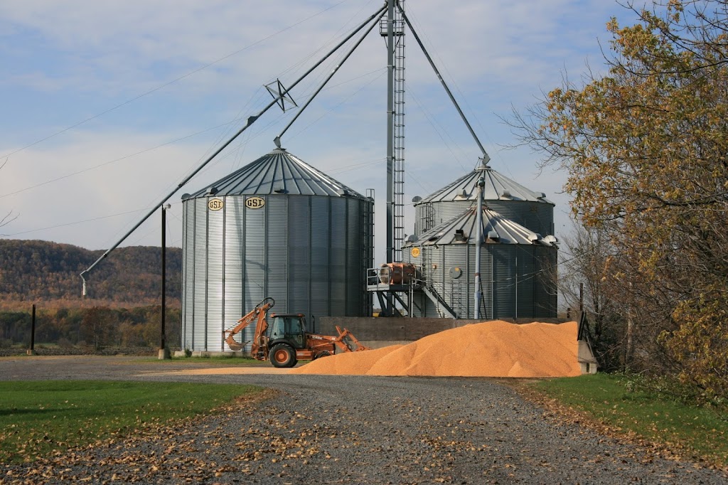 Ferme Classique Inc | 65 Principale, Saint-Basile-le-Grand, QC J3N 1M3, Canada | Phone: (450) 441-6493