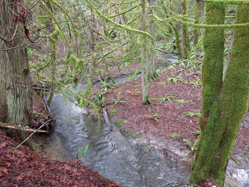 Peter Arnell Park | 409 Stewart Rd, Salt Spring Island, BC V8K 1Y6, Canada | Phone: (250) 360-3000