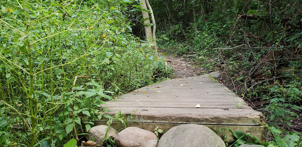 Snyders Flats Conservation Area | 1260 Snyders Flats Rd, Bloomingdale, ON N0B 1K0, Canada | Phone: (519) 621-2761