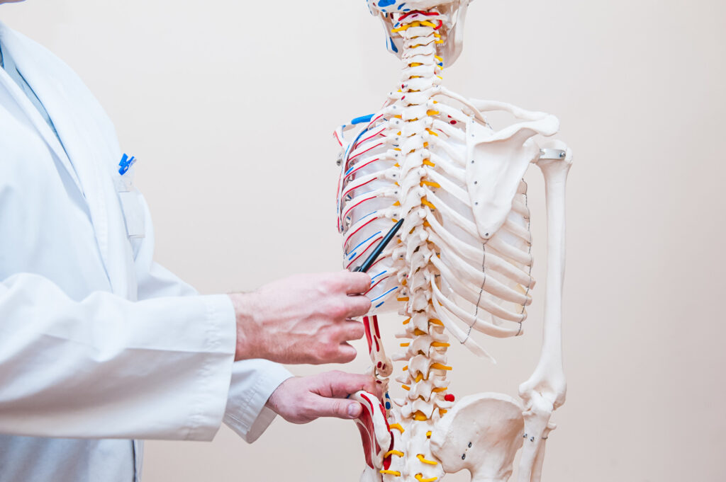Grande Prairie Physiotherapy & Massage | 9725 98 Ave Unit 103, Grande Prairie, AB T8V 8K5, Canada | Phone: (780) 357-0095