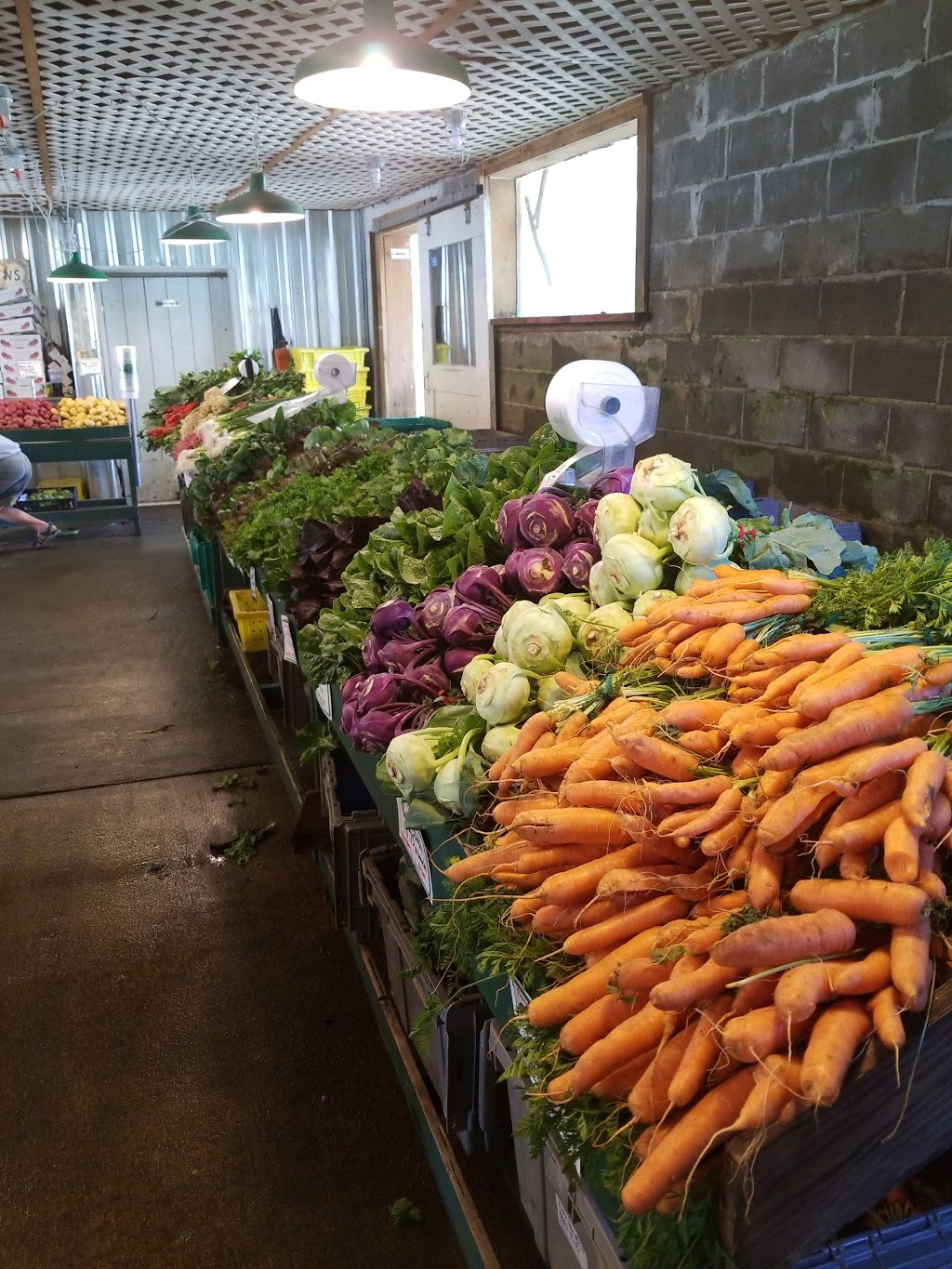 Joes Gardens | 3110 Taylor Ave, Bellingham, WA 98225, USA | Phone: (360) 671-7639