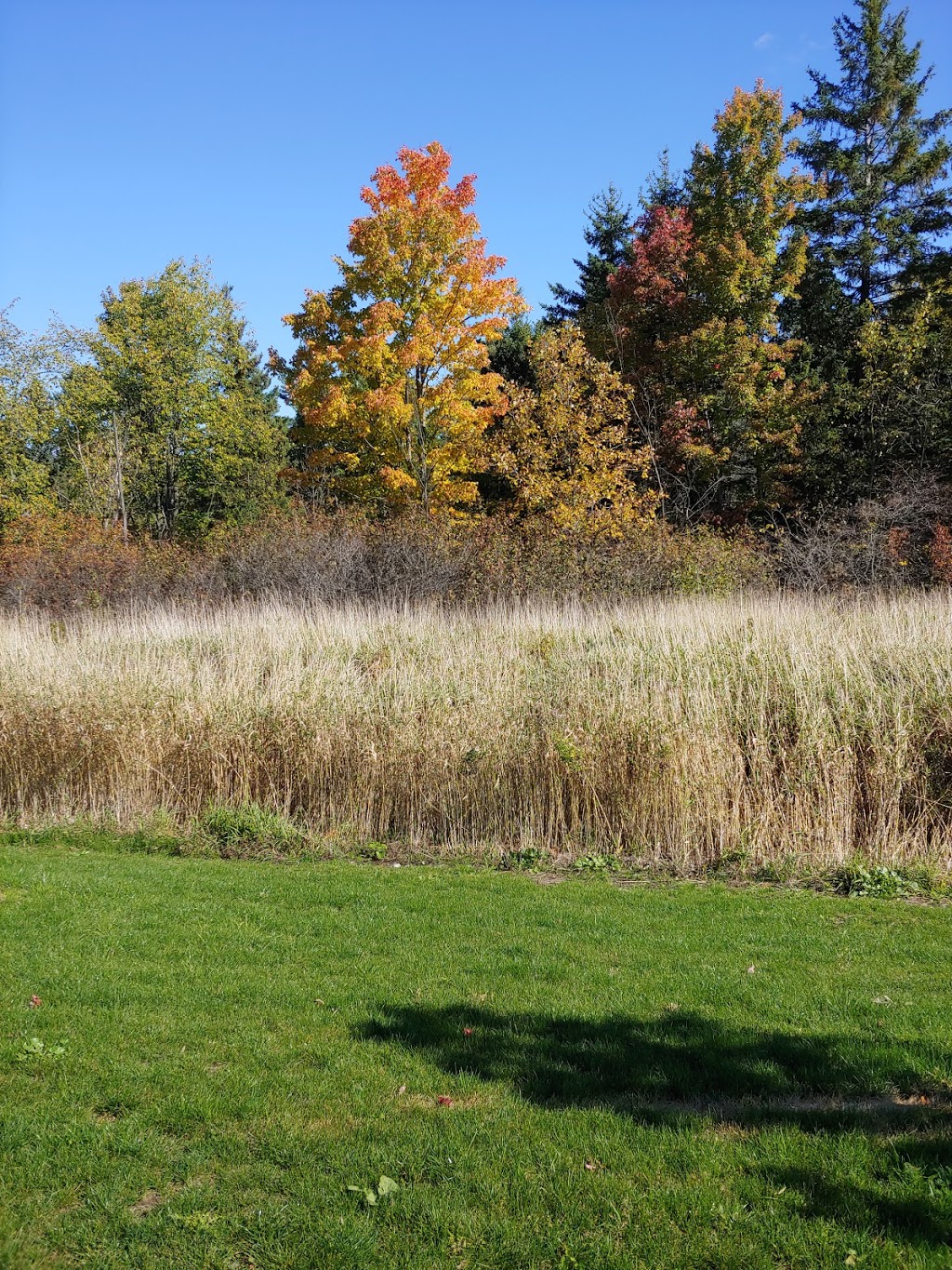 Coyote Trail Park | 1829 Trim Rd, Orléans, ON K4A 3P6, Canada | Phone: (613) 580-2400