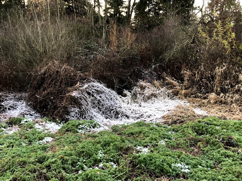 Camosun Trail | 33, Vancouver, BC V6R 3E3, Canada