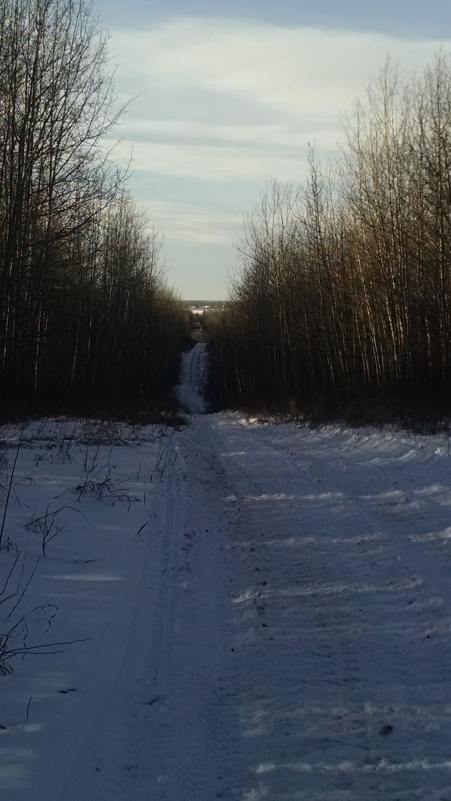 Bilby Natural Area | Range Rd 14, Onoway, AB T0E 1V0, Canada | Phone: (780) 960-8170
