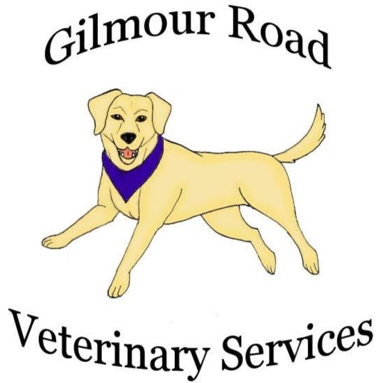 Gilmour Road Veterinary Services | RR#1, 4424 Victoria Rd S, Puslinch, ON N0B 2J0, Canada | Phone: (519) 763-7729