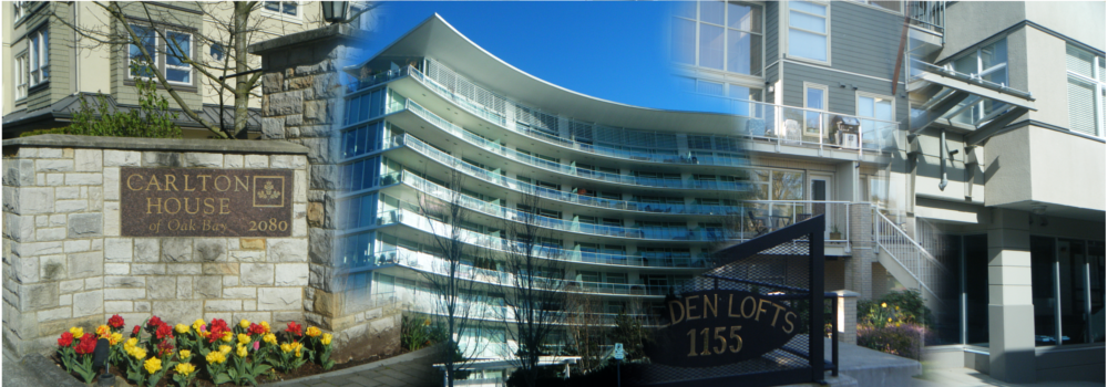 DCR Renovations | 1635 Ash Rd, Victoria, BC V8N 2T2, Canada | Phone: (250) 588-3022