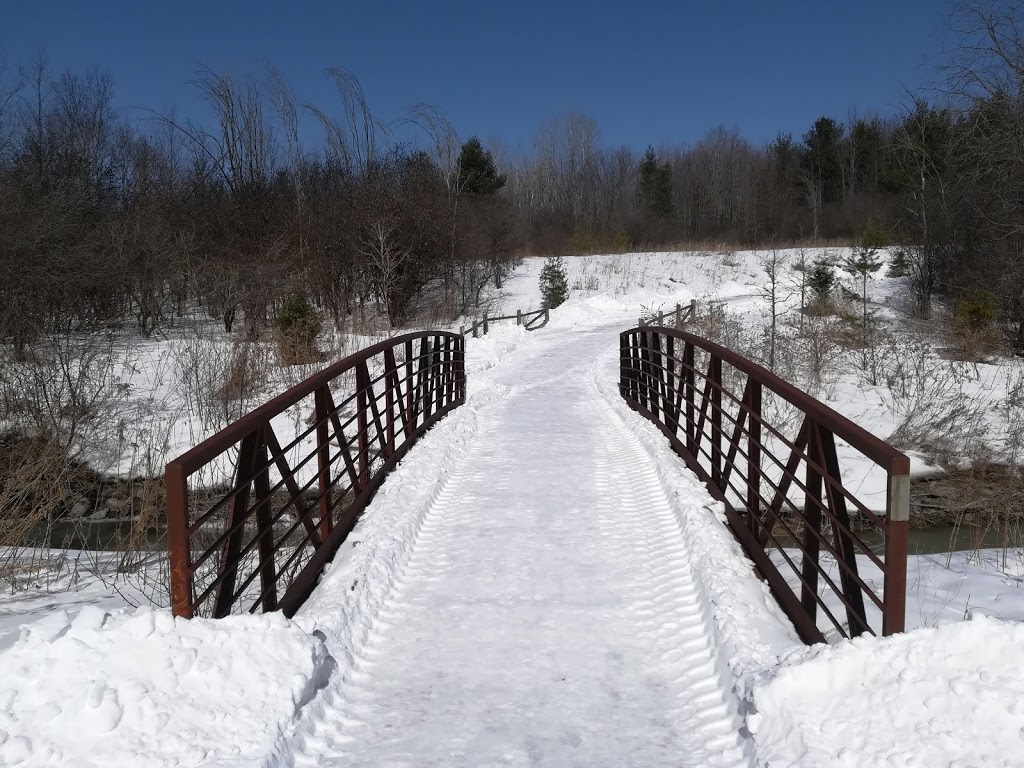 Pleurotes | District de Deschenes, Gatineau, QC J9J 1A1, Canada