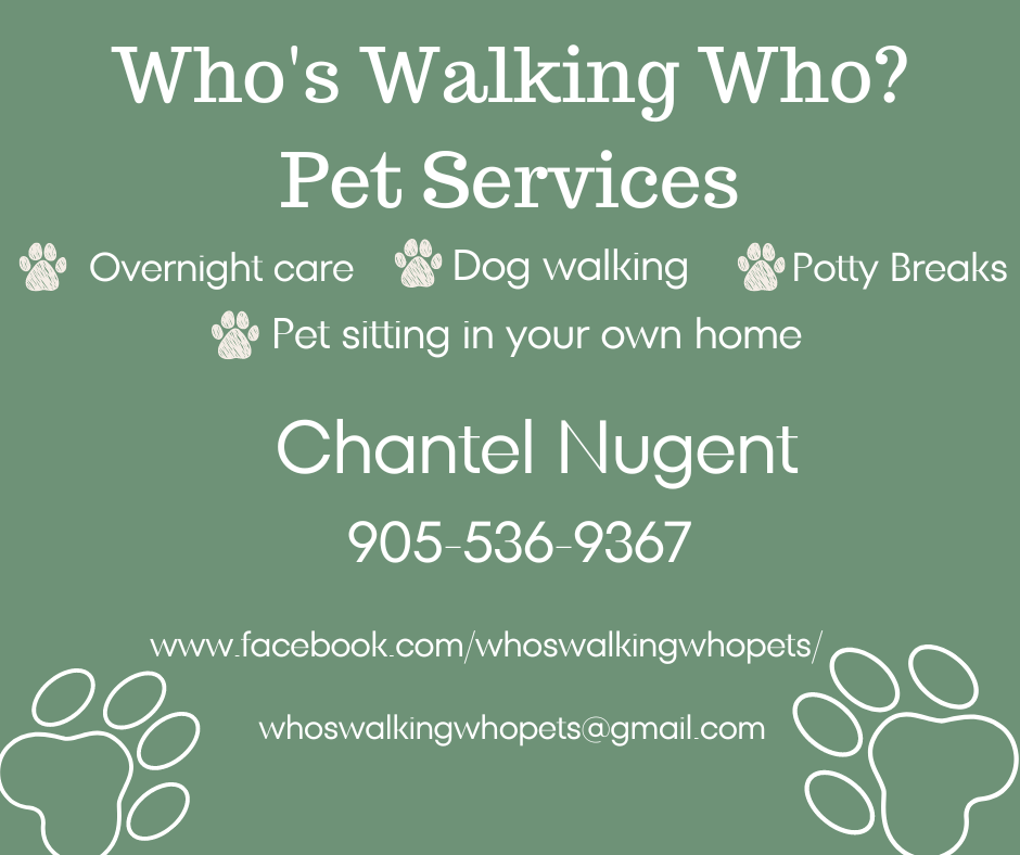 Whos Walking Who? Pet Services | 549 Lakeview Rd, Fort Erie, ON L2A 4W5, Canada | Phone: (905) 536-9367