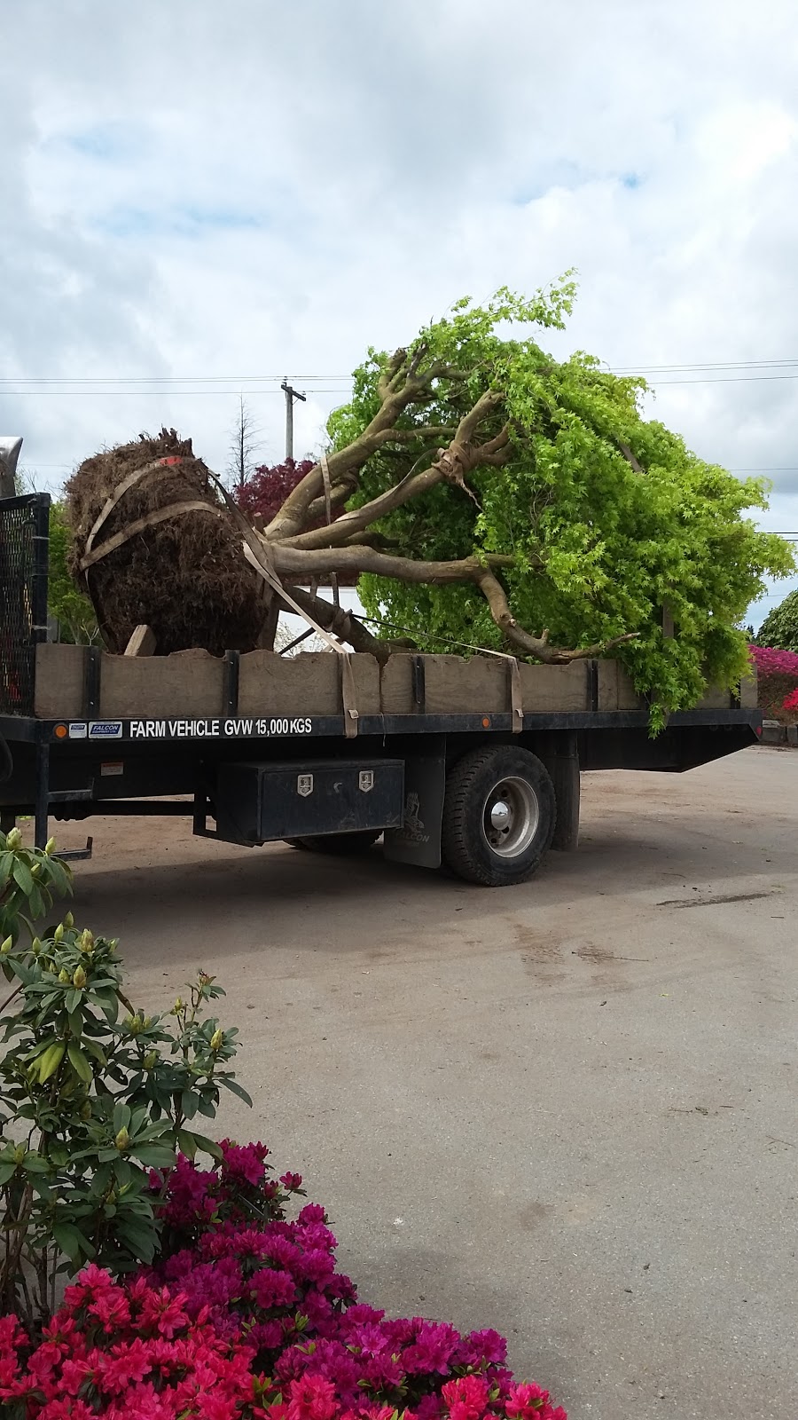 Garden In Gardens Greenhouse Ltd | 7600 No 5 Rd, Richmond, BC V6Y 2V2, Canada | Phone: (604) 233-2323
