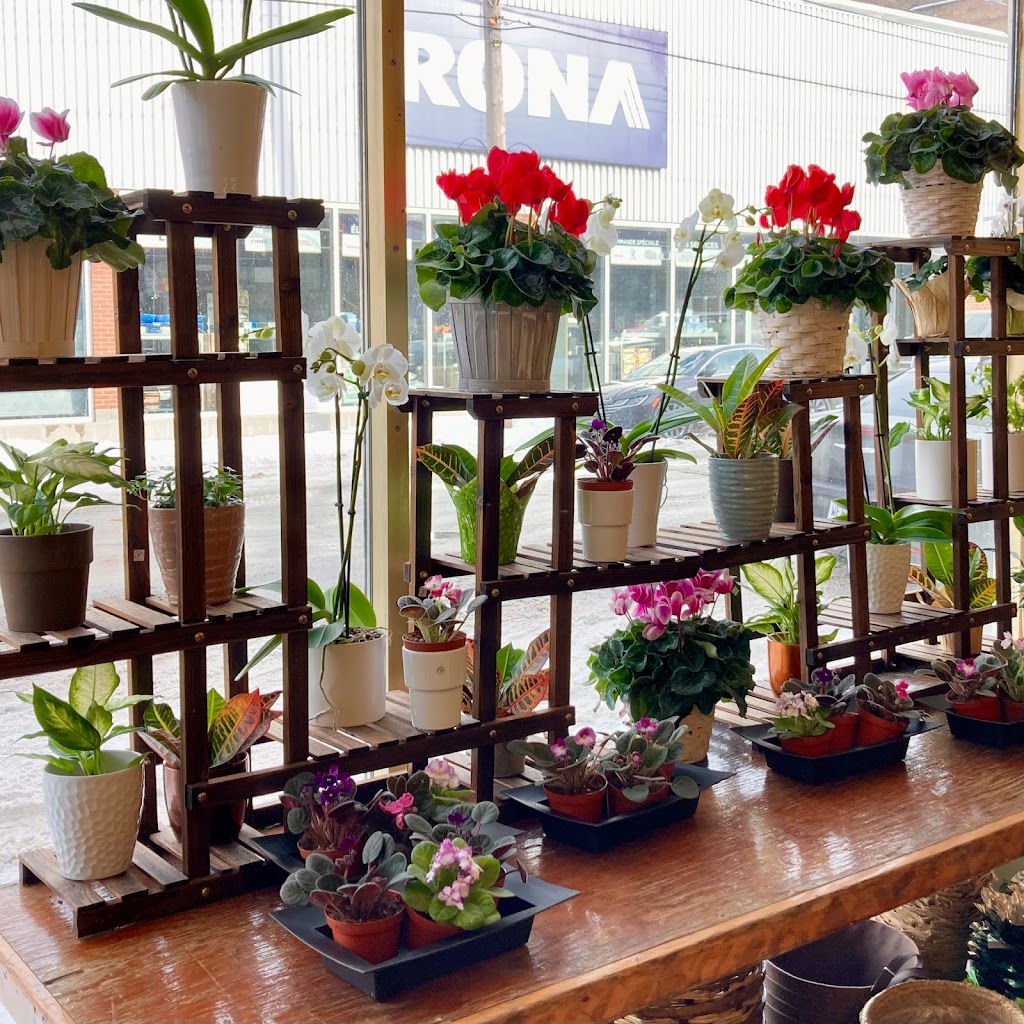 Edgewood Florist | 675 Rue Notre Dame, Lachine, QC H8S 2B3, Canada | Phone: (514) 484-2333