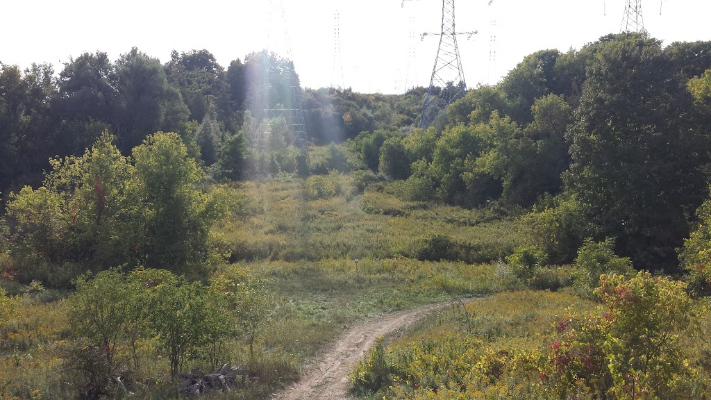 Thackeray Park Cricket Ground | 2955 Kipling Ave, Toronto, ON M5H 2N2, Canada | Phone: (416) 338-4386