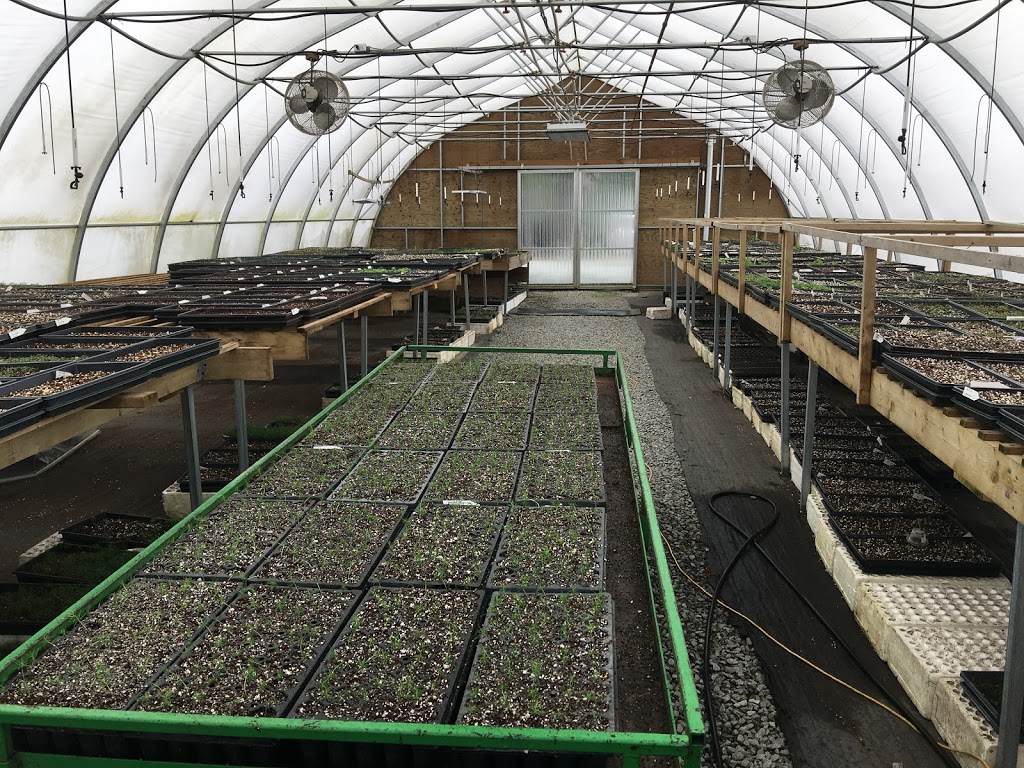 Peels Nurseries Ltd. | 35920 Pattison Rd, Fraser Valley F, BC V2V 4J1, Canada | Phone: (604) 820-7386