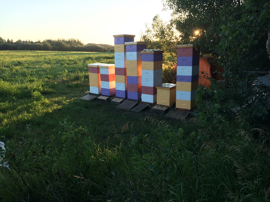 Oldman Creek Apiary | 53235 Range Rd 212, Ardrossan, AB T8G 2B5, Canada | Phone: (780) 717-5058