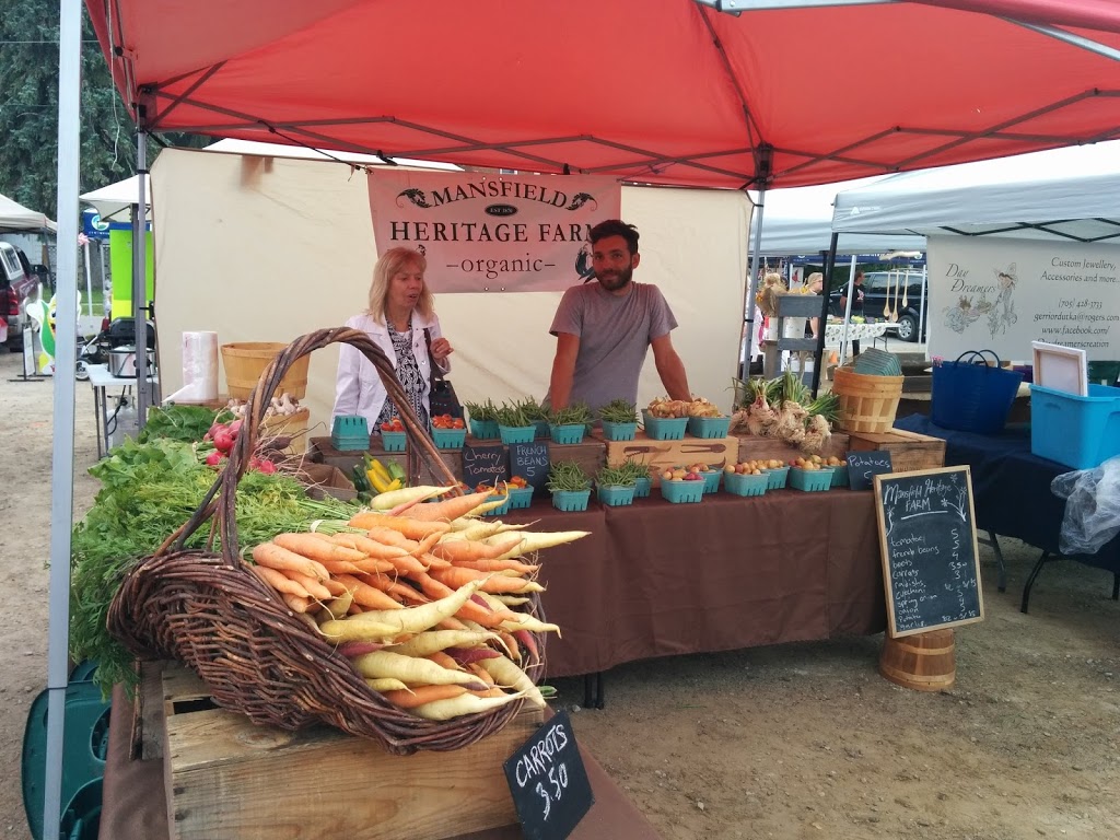 Stayner Music, Market and Park It | 7259 ON-26, Stayner, ON L0M 1S0, Canada | Phone: (705) 428-6230 ext. 262