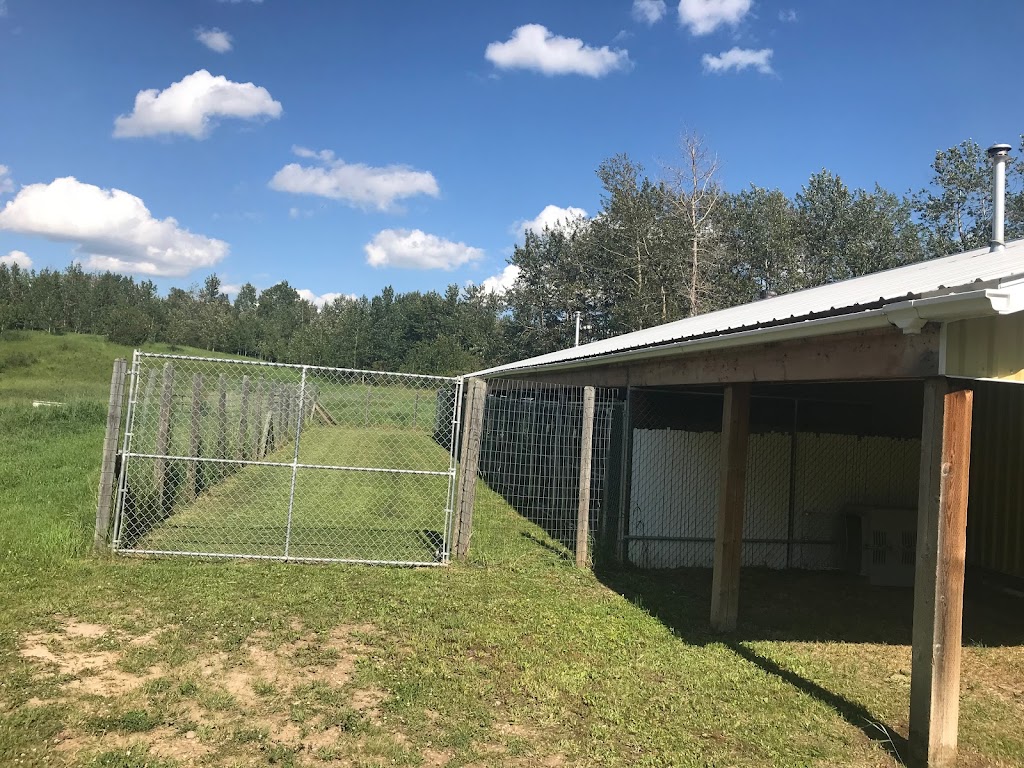 Kilwinning Kennels | 51063 Range Rd 224, Sherwood Park, AB T8C 1H1, Canada | Phone: (780) 996-4523