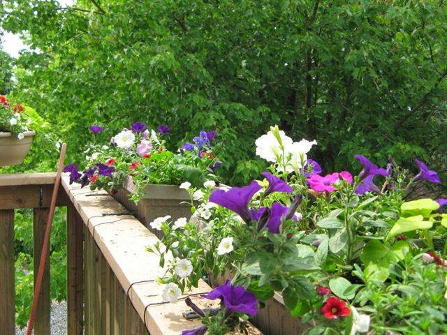 Braeside Court Bed & Breakfast | 34 Braeside Ct, Dartmouth, NS B2X 3M9, Canada | Phone: (902) 462-3956