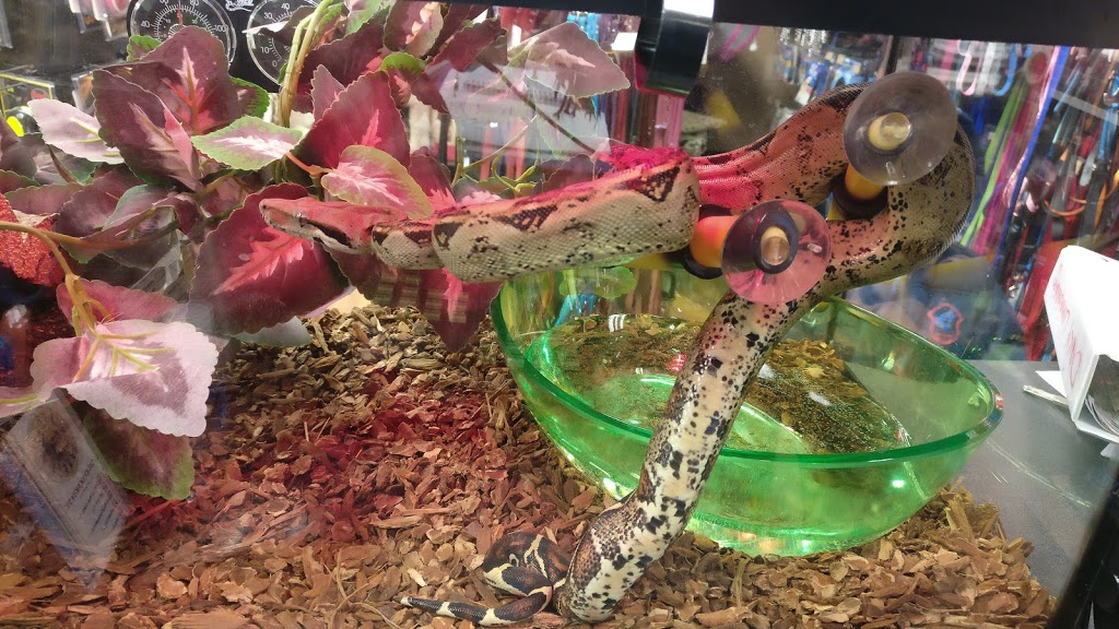 Pet Valu | 49A Superior St, Devon, AB T9G 1K8, Canada | Phone: (780) 987-2031