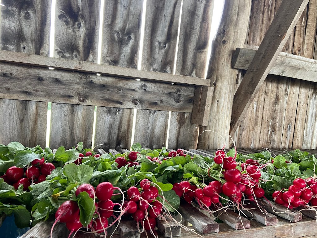 Ferme Côté Jardin | 273 Chem. Beaver Ridge, Cookshire-Eaton, QC J0B 1M0, Canada | Phone: (819) 875-1606