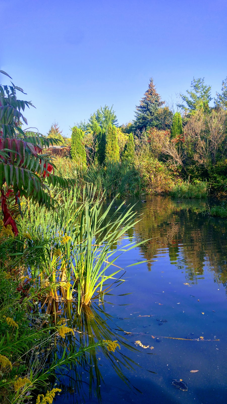 Taplow Creek Trail | 1903 Pilgrims Way, Oakville, ON L6M 2X1, Canada