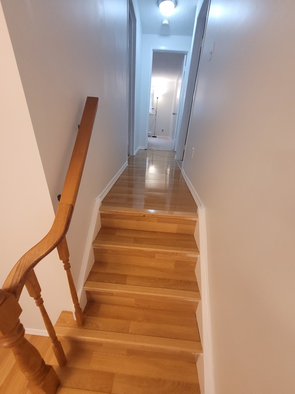 Mutz Cleaning Services | 537 Lynnbrook Pl, Waterloo, ON N2L 4X4, Canada | Phone: (519) 503-4445