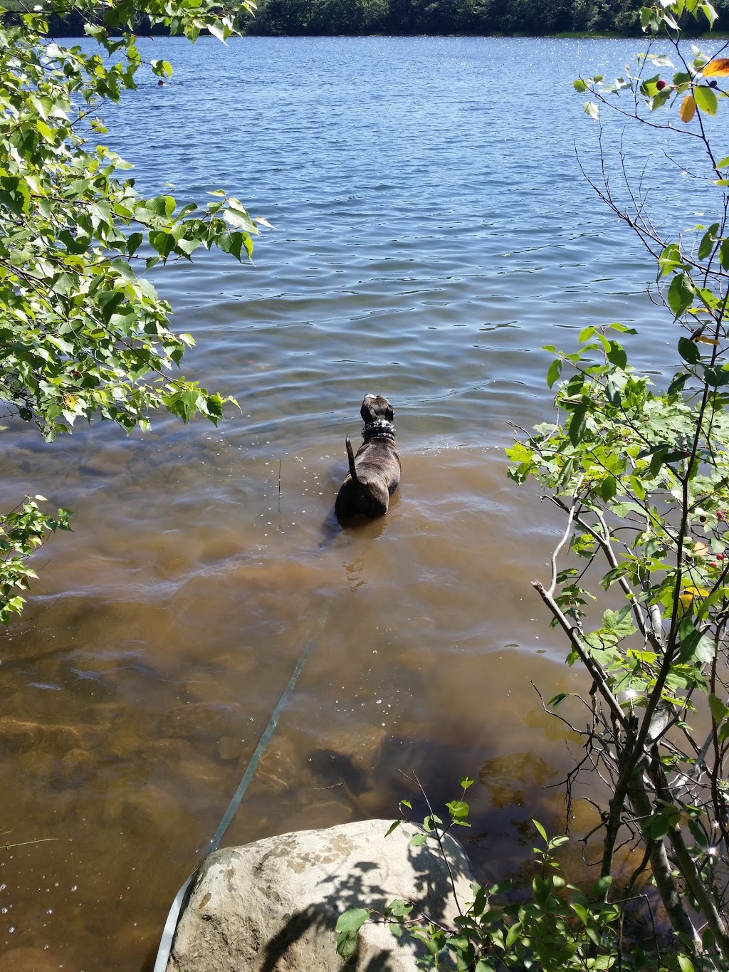 Bell Lake Park | Nantucket, Dartmouth, NS B2W, Canada