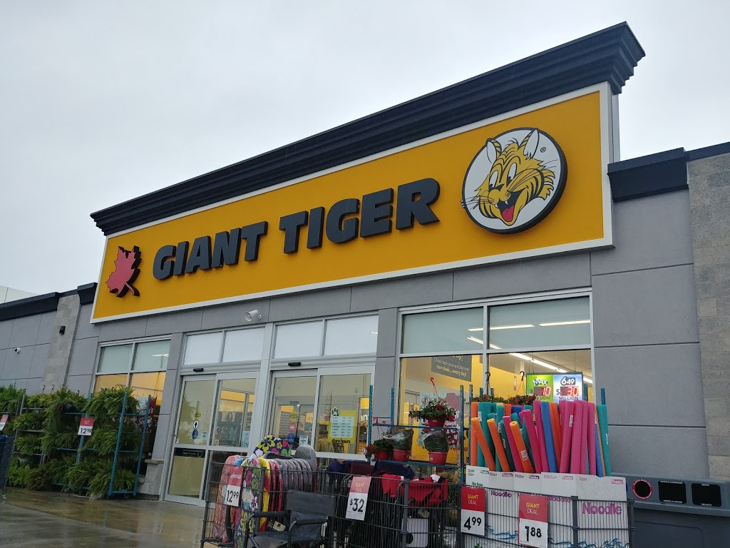 giant-tiger-1175-hyde-park-rd-london-on-n6h-5k6-canada